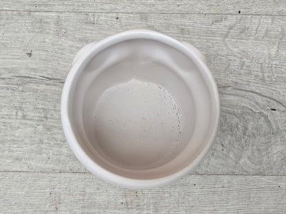 8.5cm Ivory White Elephant Pot with Drop-In Cactus