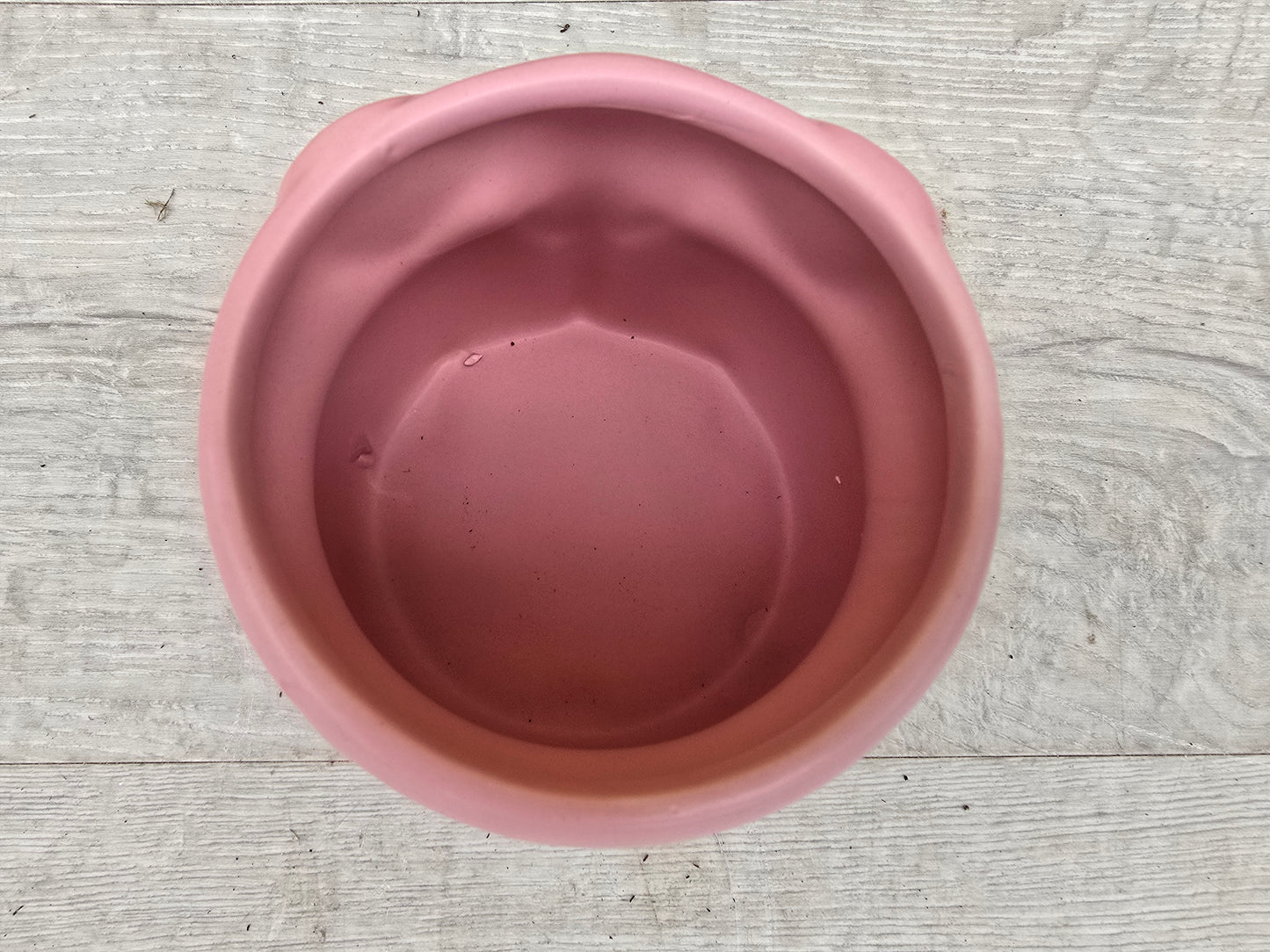 8.5cm Savanna Pink Elephant Pot with Drop-In Cactus