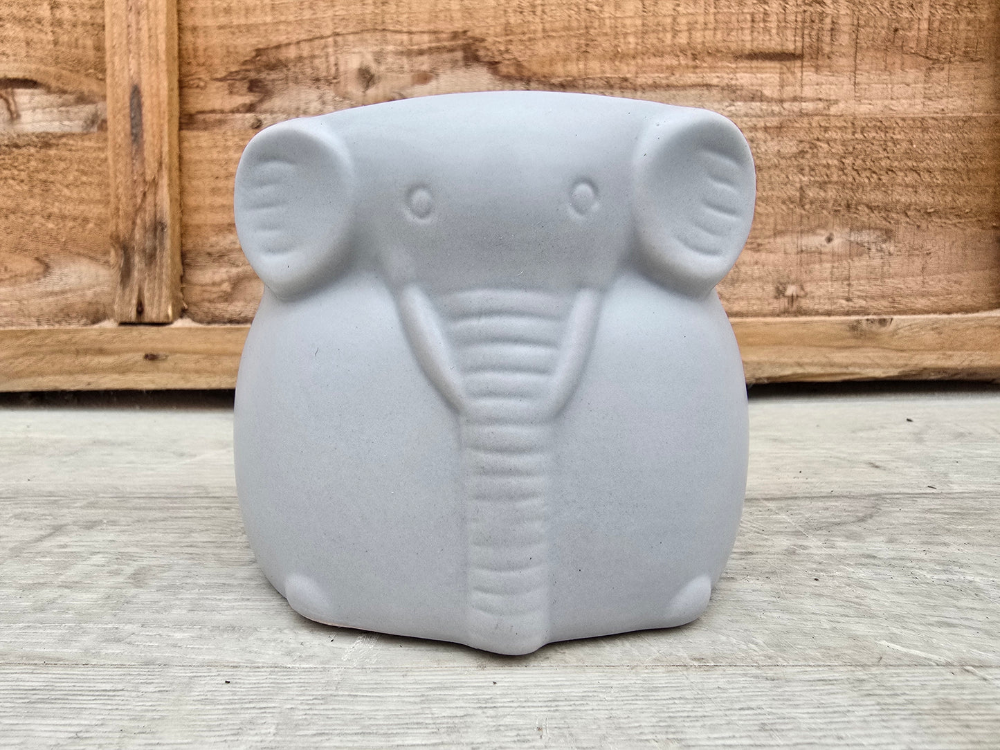 8.5cm Elephant Grey Elephant Pot with Drop-In Succulent