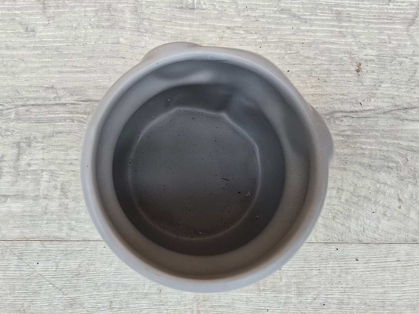 8.5cm Elephant Grey Elephant Pot with Drop-In Succulent
