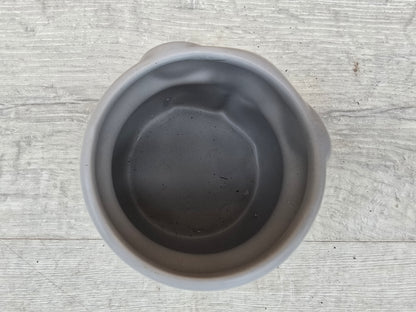 8.5cm Elephant Grey Elephant Pot with Drop-In Succulent