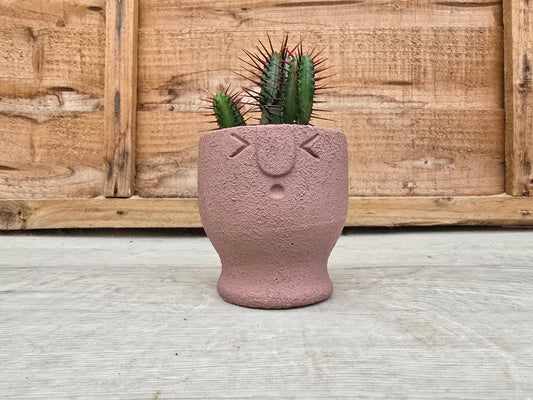 5.5cm Egg Cup Face 'Oooh' Sandy Pink Pot with Drop-In Cactus