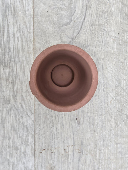 5.5cm Egg Cup Face 'HeHe' Sandy Pink Pot with Drop-In Succulent
