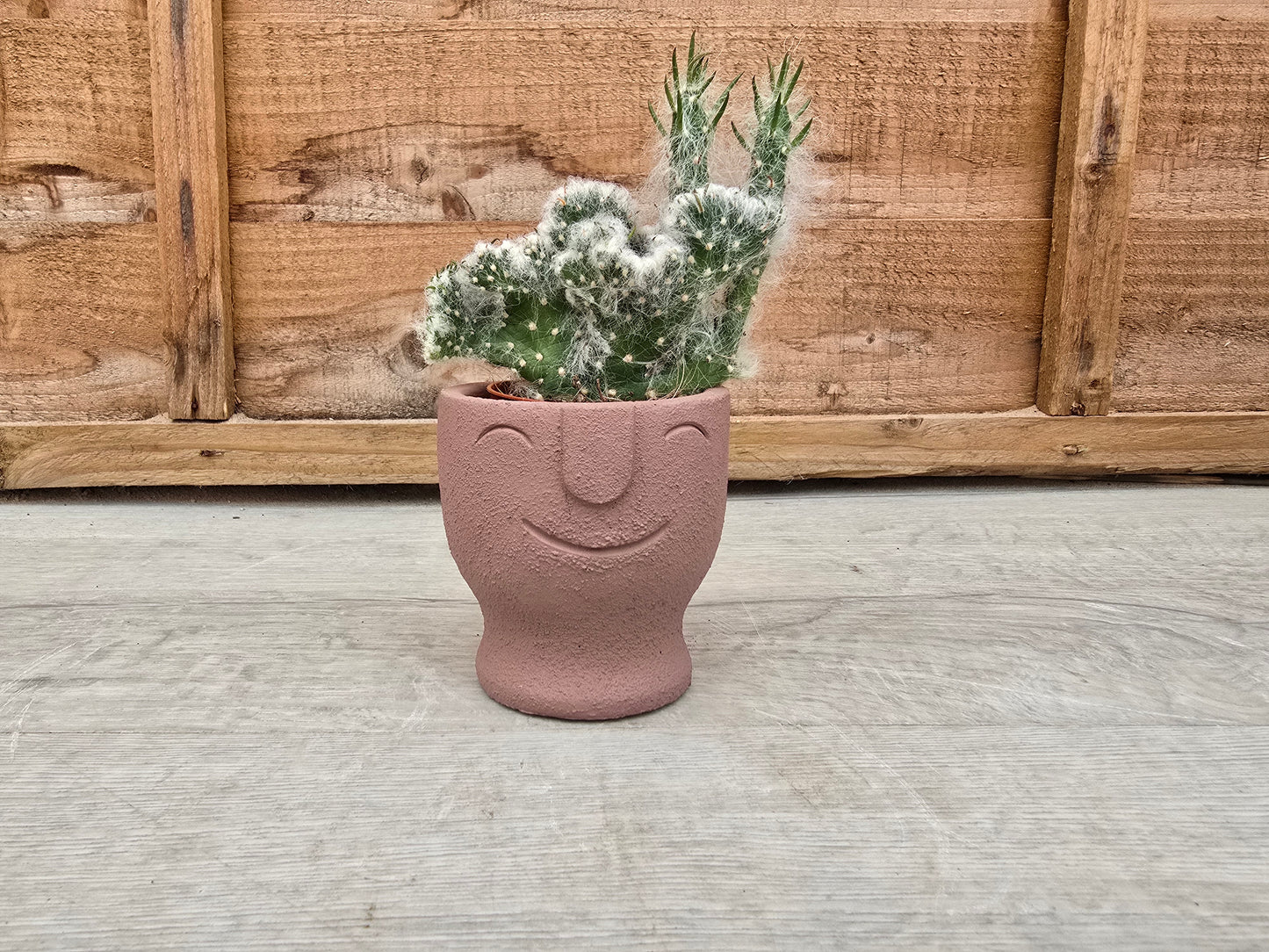 5.5cm Egg Cup Face 'HeHe' Sandy Pink Decorative Pot