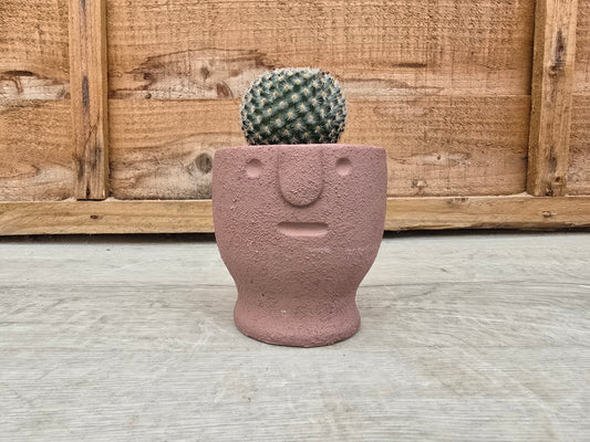5.5cm Egg Cup Face 'Meh' Sandy Pink Pot with Drop-In Cactus