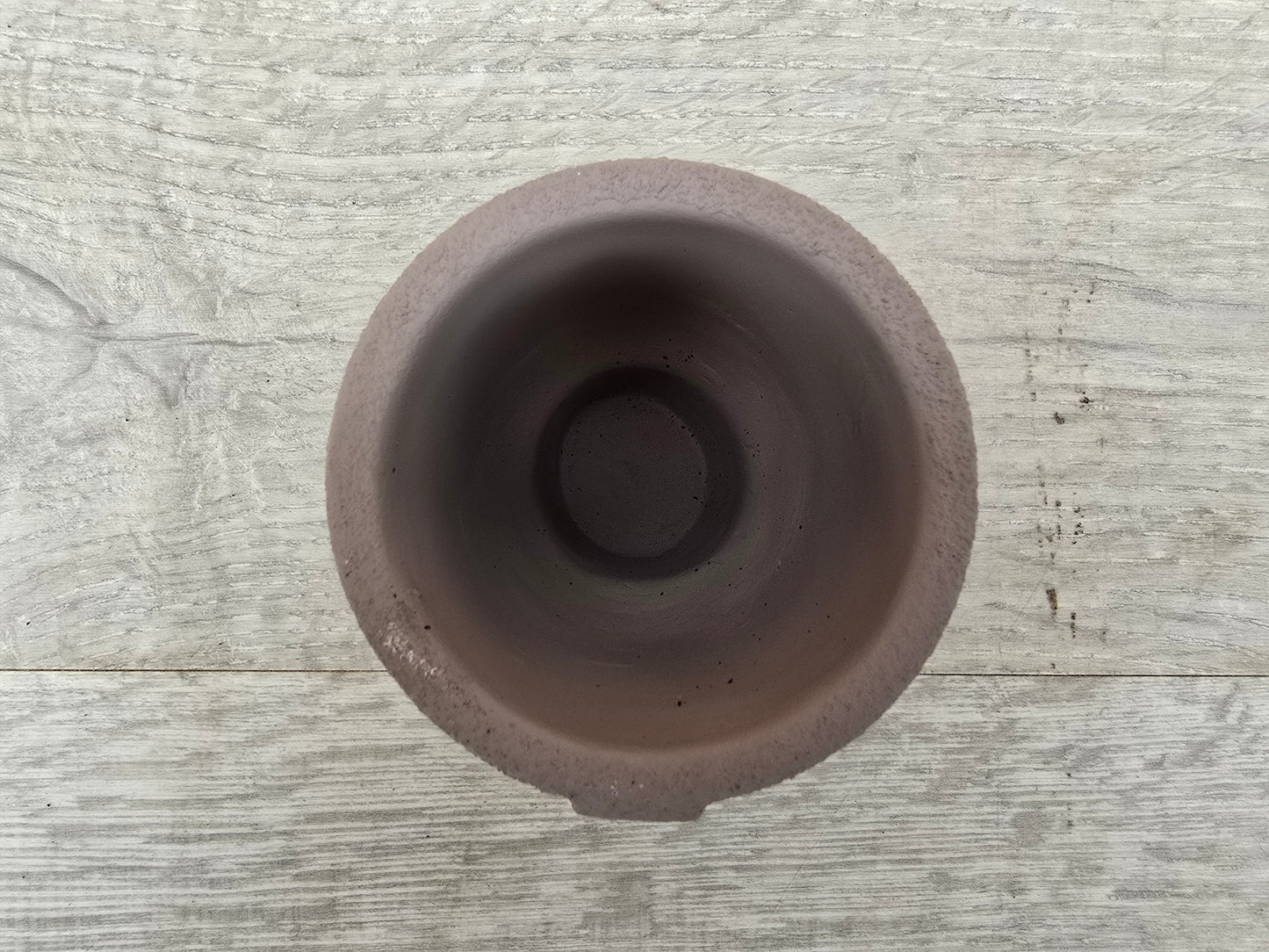 5.5cm Egg Cup Face 'Oooh' Grey Pot with Drop-In Succulent