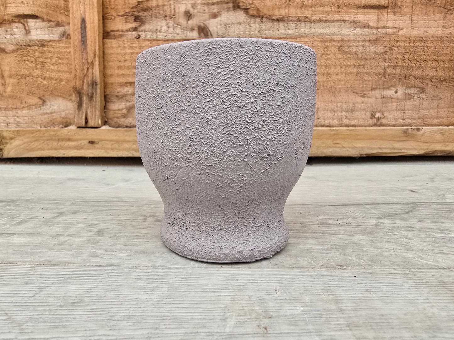 5.5cm Egg Cup Face 'Oooh' Grey Pot with Drop-In Succulent