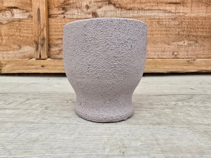 5.5cm Egg Cup Face 'Oooh' Grey Pot with Drop-In Succulent