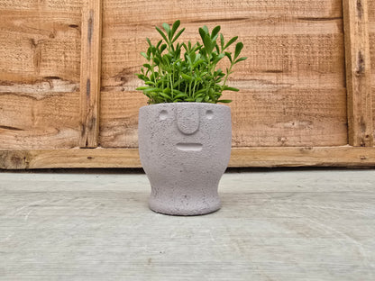 5.5cm Egg Cup Face 'Meh' Grey Pot with Drop-In Succulent
