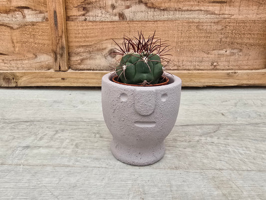 5.5cm Egg Cup Face 'Meh' Grey Pot with Drop-In Cactus