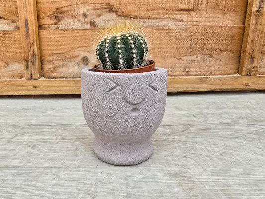 5.5cm Egg Cup Face 'Oooh' Grey Pot with Drop-In Cactus