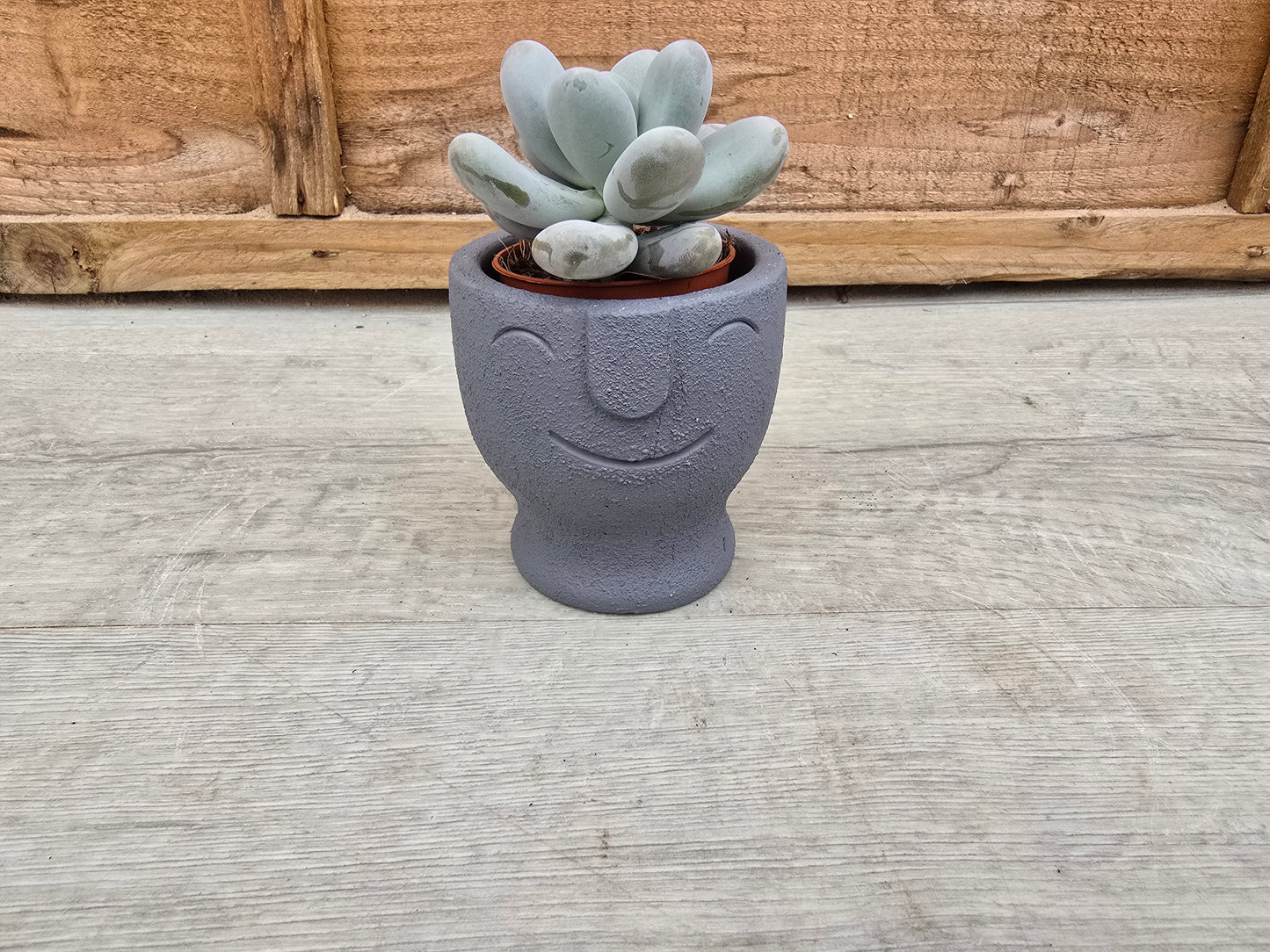 5.5cm Egg Cup Face 'HeHe' Blue Decorative Pot