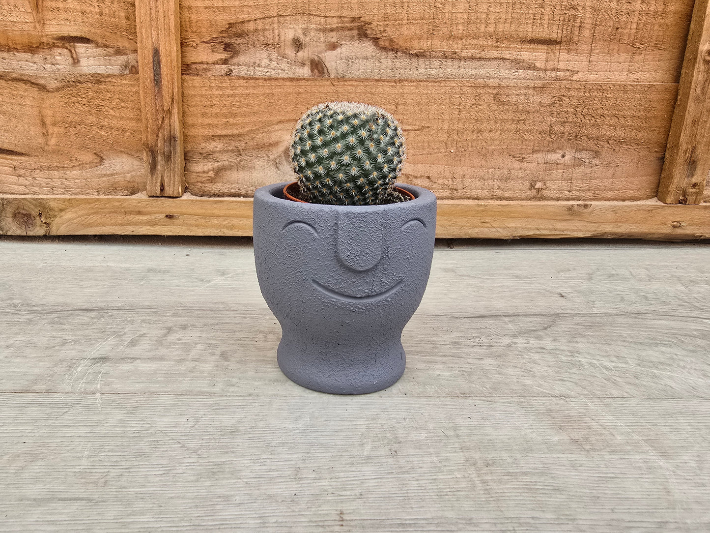 5.5cm Egg Cup Face 'HeHe' Blue Decorative Pot