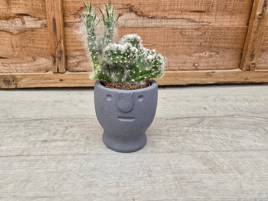 5.5cm Egg Cup Face 'Meh' Blue Pot with Drop-In Cactus