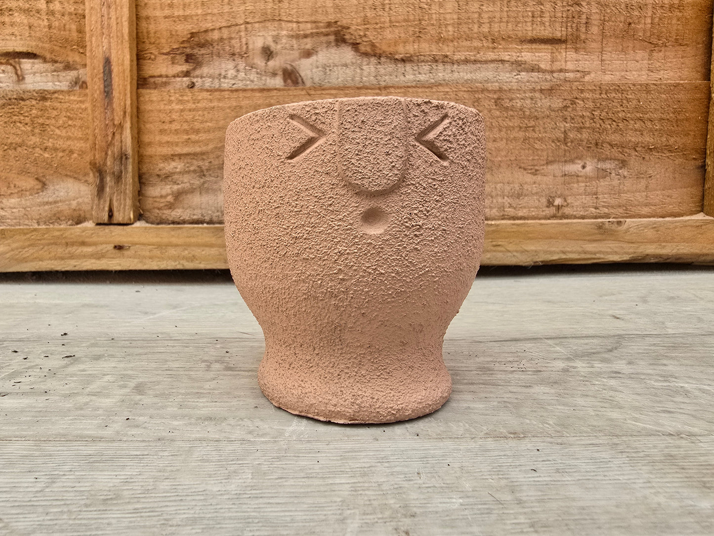5.5cm Egg Cup Face 'Oooh' Peach Pot with Drop-In Succulent