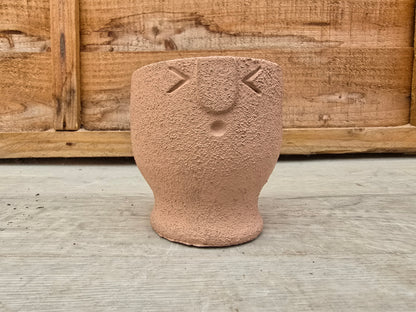 5.5cm Egg Cup Face 'Oooh' Peach Pot with Drop-In Succulent