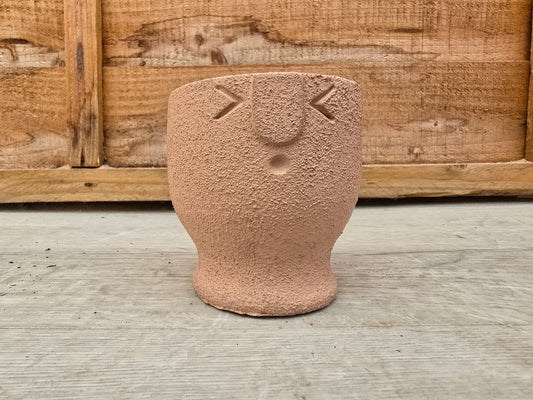 5.5cm Egg Cup Face 'Oooh' Peach Pot with Drop-In Cactus