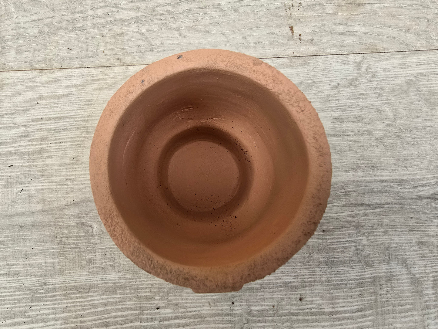 5.5cm Egg Cup Face 'Oooh' Peach Pot with Drop-In Succulent