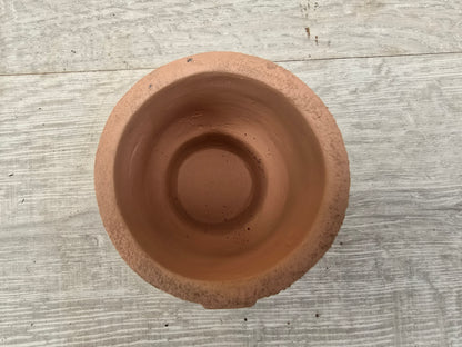 5.5cm Egg Cup Face 'Oooh' Peach Pot with Drop-In Succulent