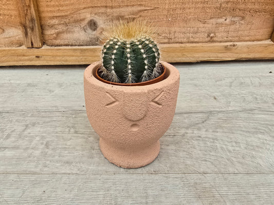 5.5cm Egg Cup Face 'Oooh' Peach Pot with Drop-In Cactus