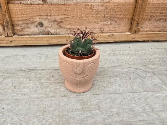 5.5cm Egg Cup Face 'HeHe' Sandy Pink Pot with Drop-In Cactus