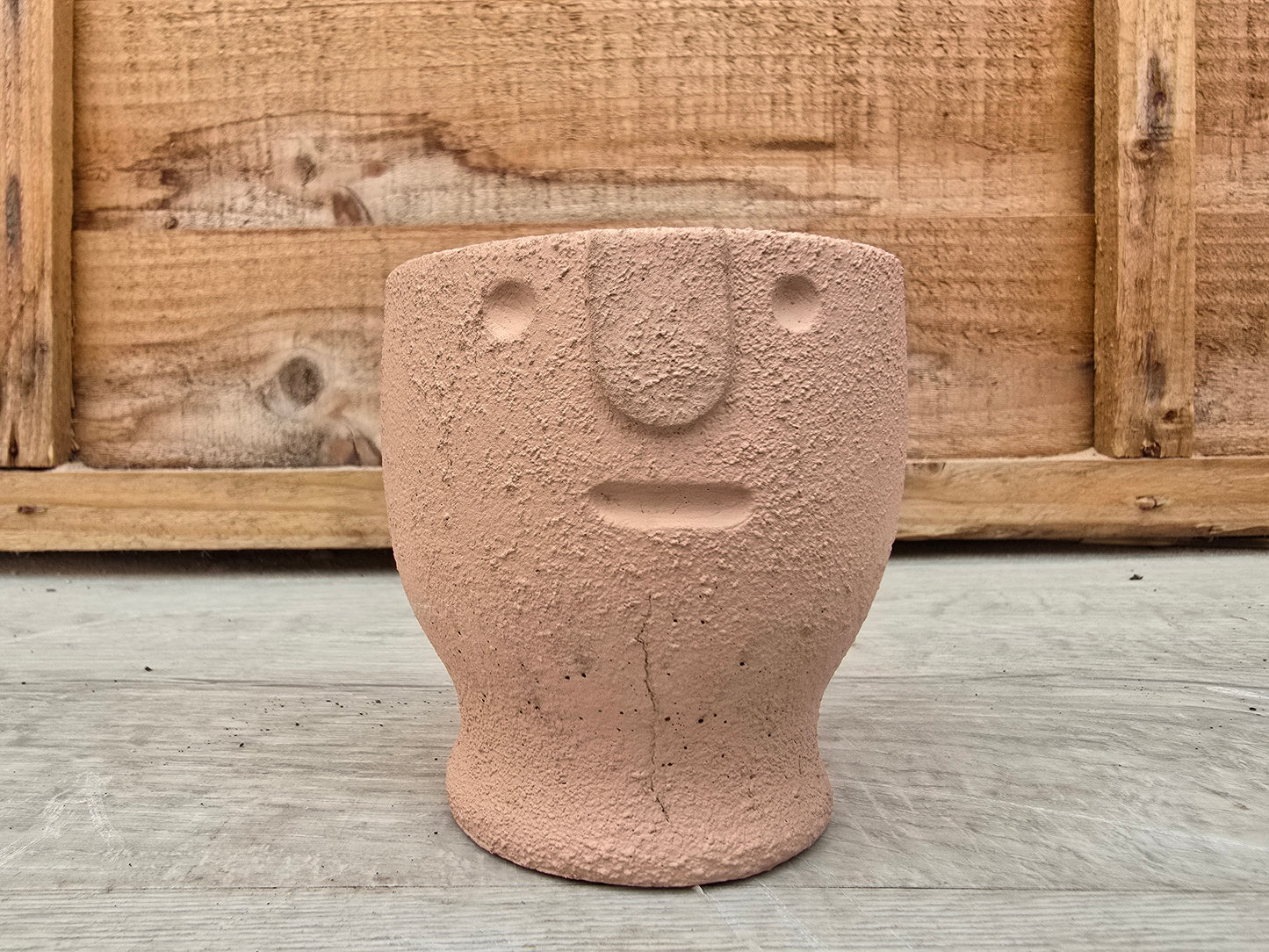 5.5cm Egg Cup Face 'Meh' Peach Pot with Drop-In Succulent