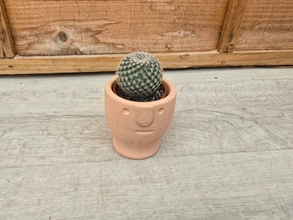 5.5cm Egg Cup Face 'Meh' Peach Decorative Pot
