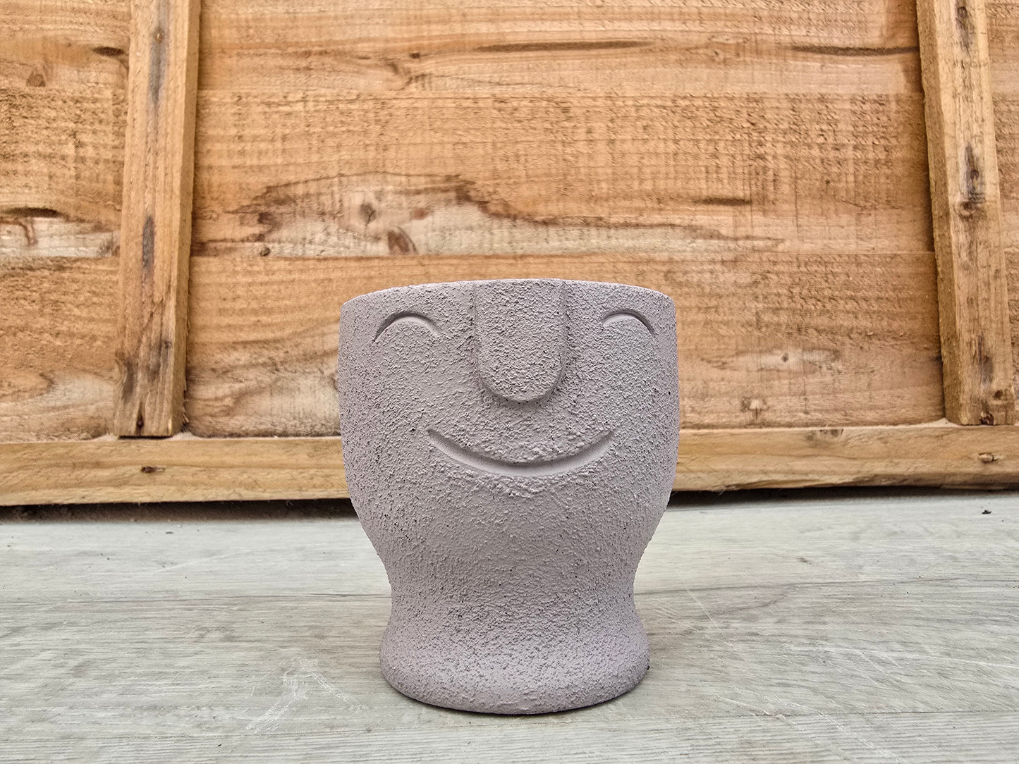 5.5cm Egg Cup Face 'HeHe' Grey Pot with Drop-In Succulent