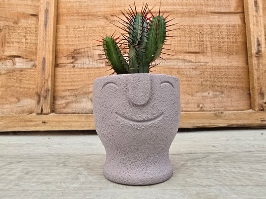 5.5cm Egg Cup Face 'HeHe' Grey Pot with Drop-In Cactus
