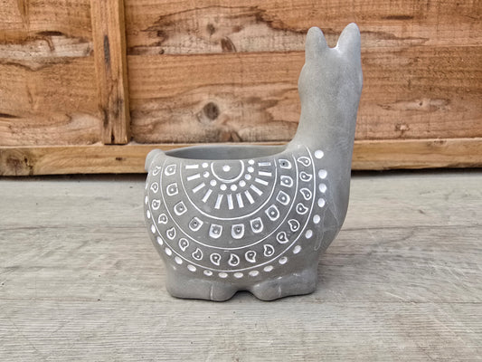 5.5cm Alpaca Grey Decorative Pot