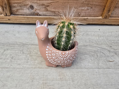 5.5cm Alpaca Terracotta Decorative Pot