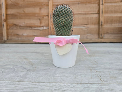 8.5cm Pink Ribbon Pot