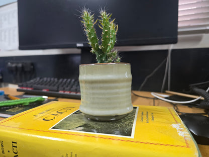 5.5cm Greige Pastel Pot with Cactus