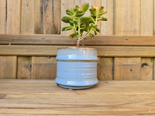 8.5cm Blue Pastel Pot with Drop-In Succulent