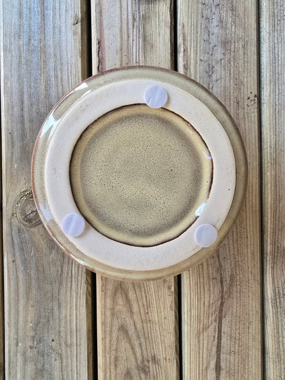 8.5cm Cream Pastel Pot with Drop-In Succulent