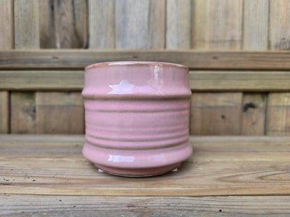 8.5cm Pink Pastel Pot with Drop-In Succulent