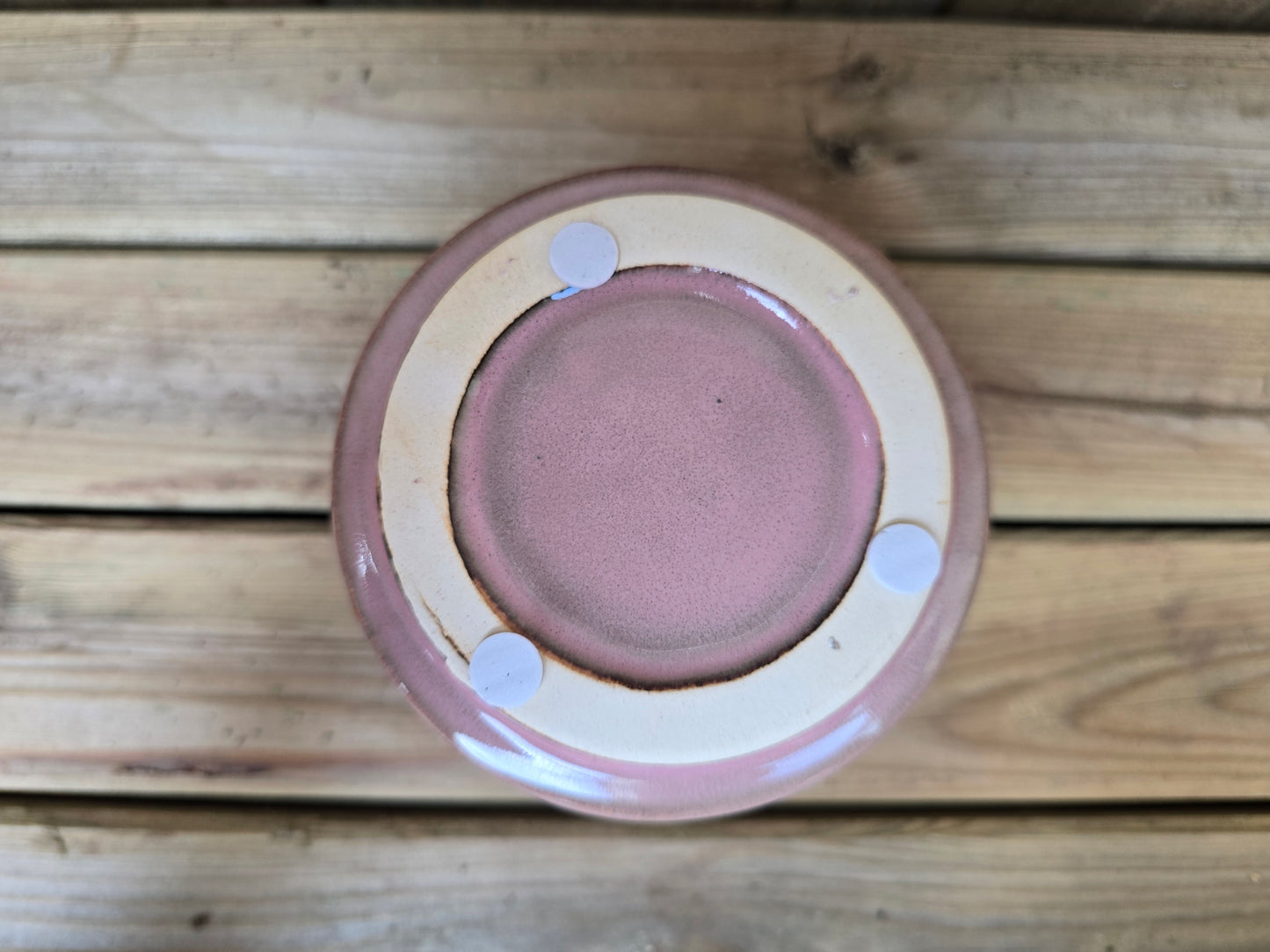 8.5cm Pink Pastel Pot with Drop-In Succulent
