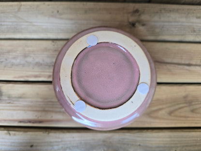 8.5cm Pink Pastel Pot with Drop-In Succulent
