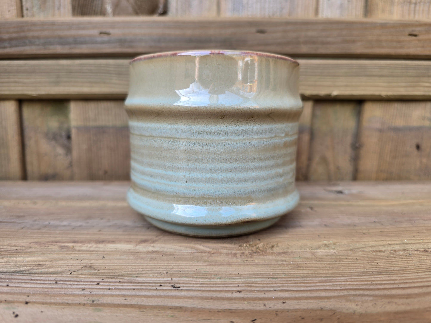 8.5cm Griege Pastel Pot with Drop-In Succulent