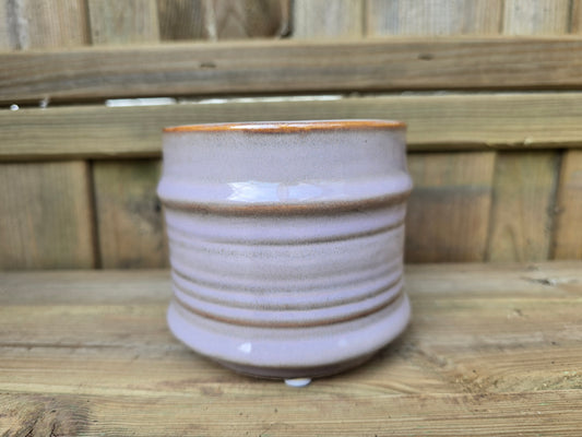 8.5cm Lavender Pastel Pot with Drop-In Succulent