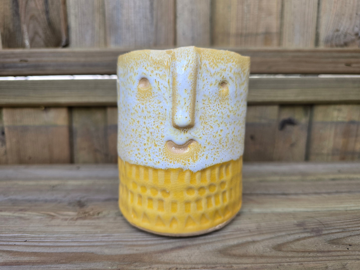 8.5cm Yellow Zamora Face Pot with Drop-In Cactus