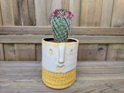 8.5cm Yellow Zamora Face Pot with Drop-In Cactus