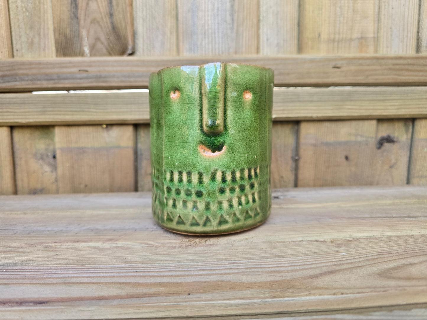 8.5cm Green Zamora Face Pot with Drop-In Succulent