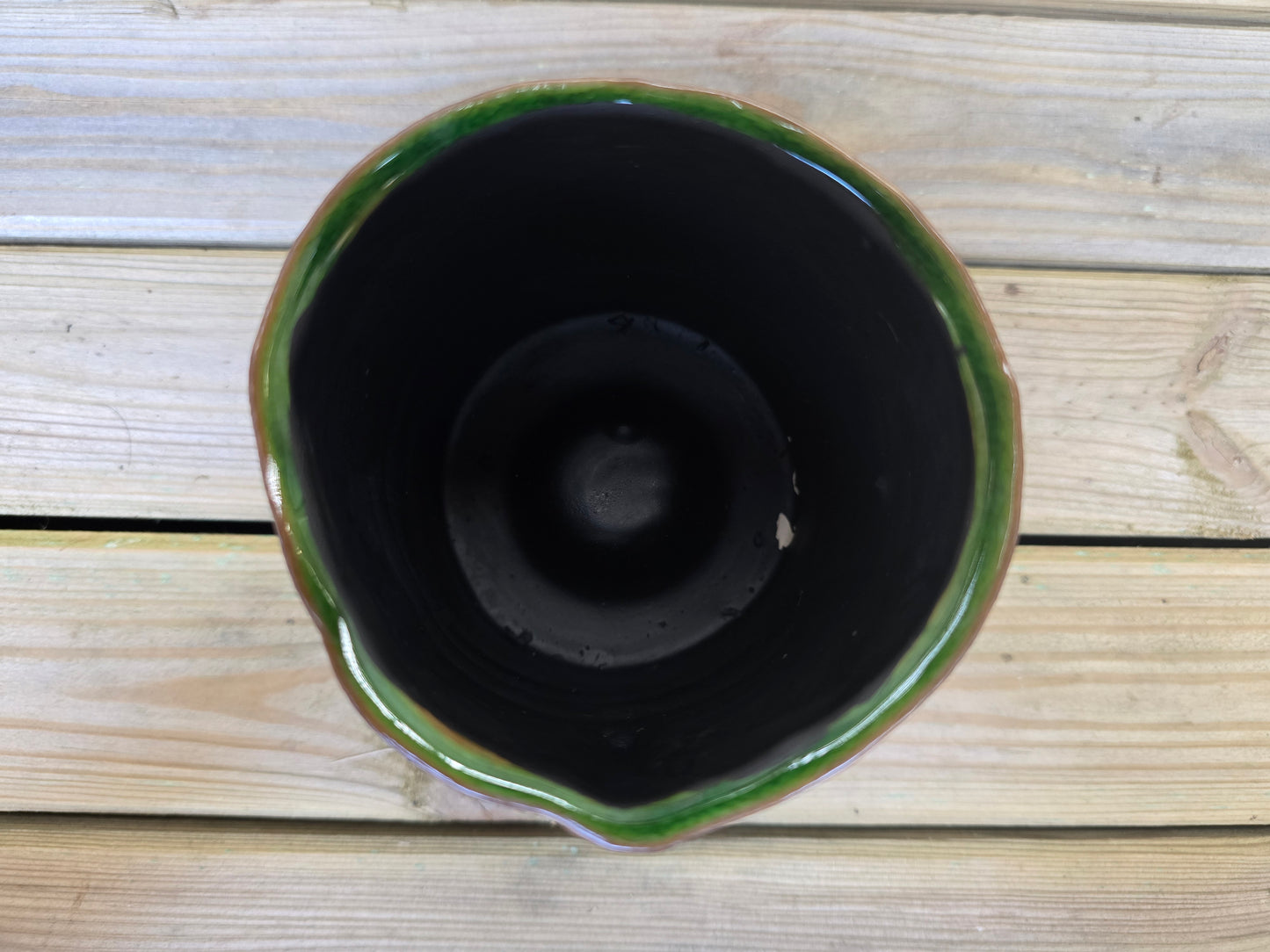 8.5cm Green Zamora Face Pot with Drop-In Succulent
