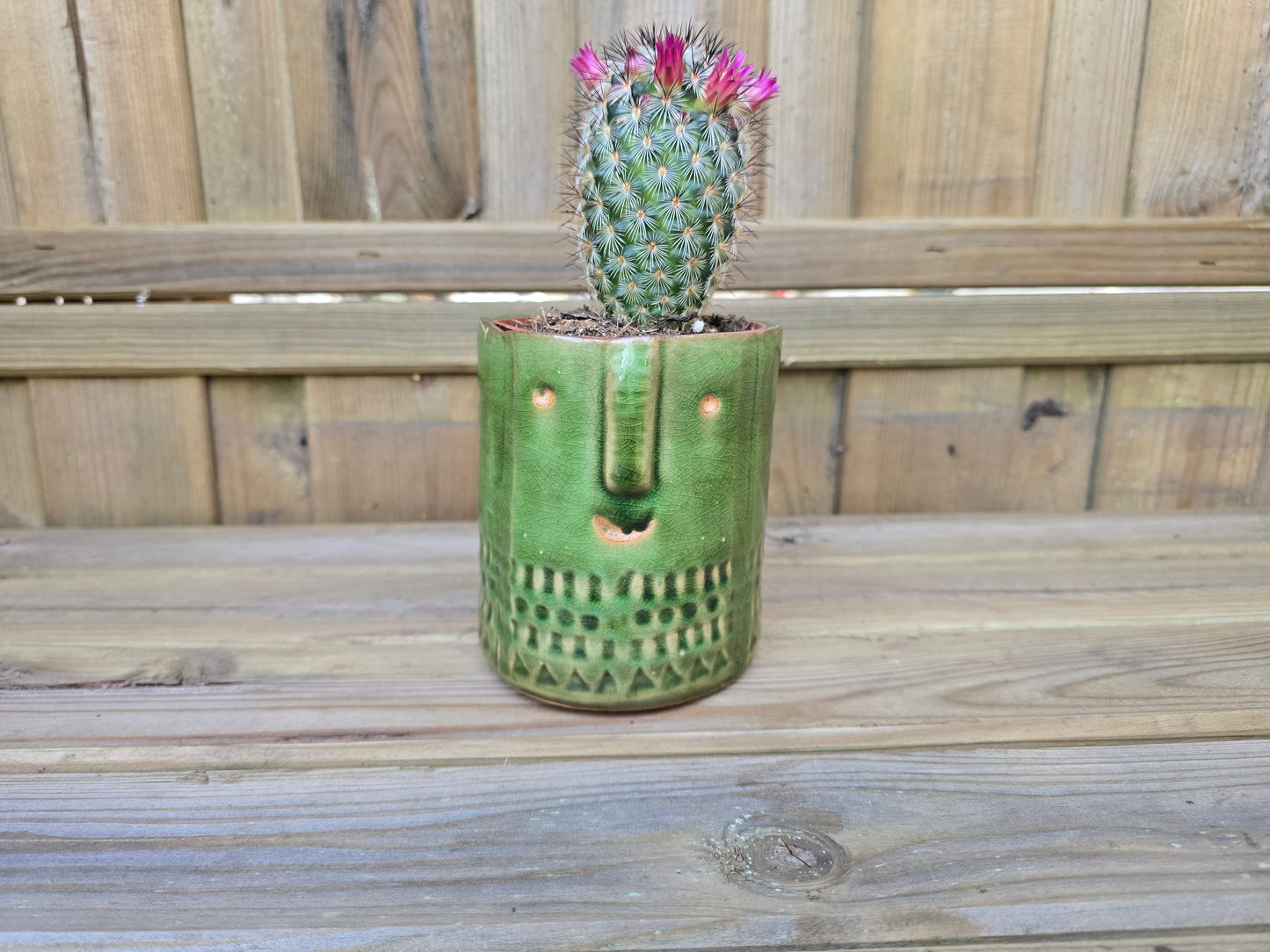 8.5cm Green Zamora Face Pot with Drop-In Cactus
