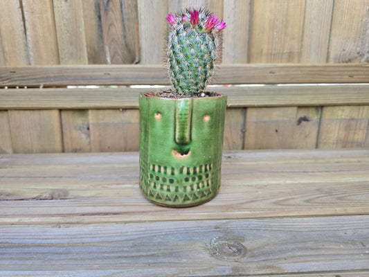 8.5cm Green Zamora Face Pot with Drop-In Cactus