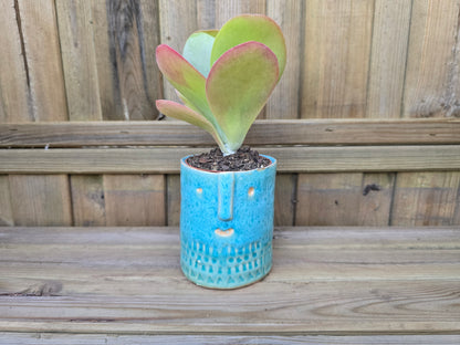 8.5cm Sea Blue Zamora Face Pot with Drop-In Succulent