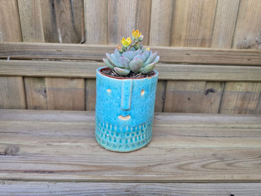 8.5cm Sea Blue Zamora Face Pot with Drop-In Succulent