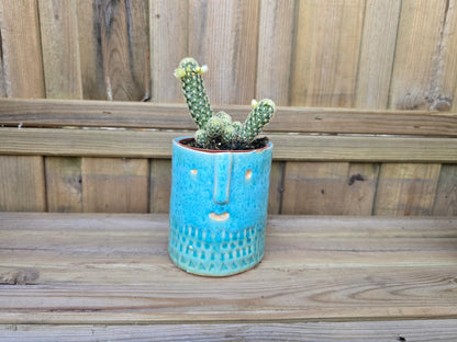 8.5cm Sea Blue Zamora Face Pot with Drop-In Cactus