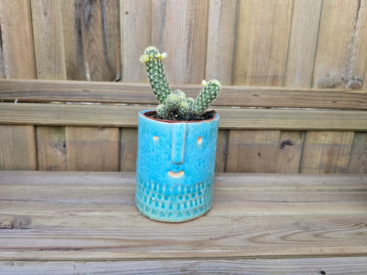 8.5cm Sea Blue Zamora Face Pot with Drop-In Cactus